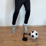 Kick 360 Trainer™